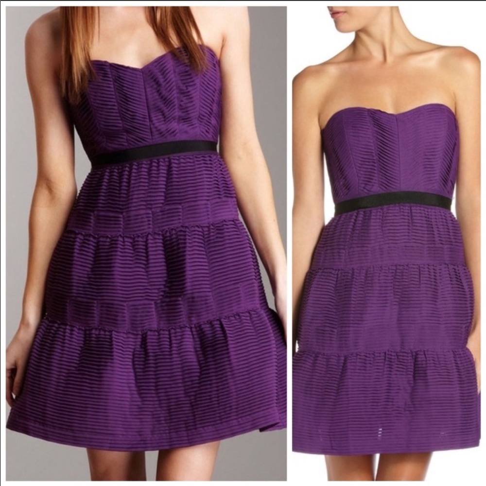 BCBGMAXAZRIA- Grape Pleated Chiffon Dress 10 NWT - Picture 2 of 7